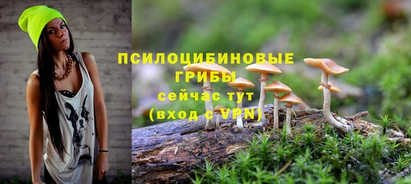 бутират Осташков