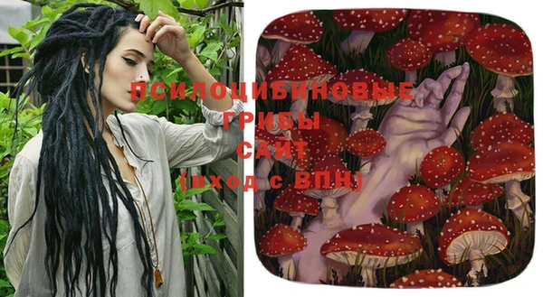 бутират Осташков