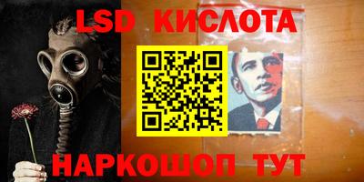 PSILOCYBIN Заводоуковск