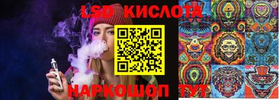 PSILOCYBIN Заводоуковск