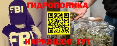 PSILOCYBIN Заводоуковск