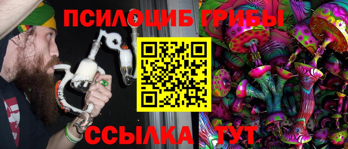 Галлюциногенные грибы Psilocybe Ржев