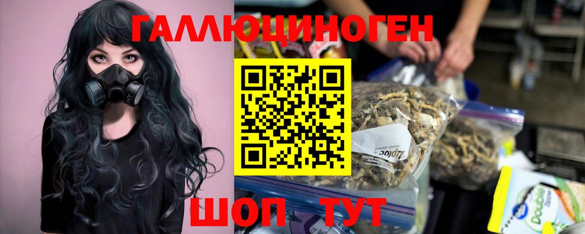 Ржев  Псилоцибиновые грибы Magic Shrooms  Вход с VPN 